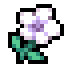 Temple Flower
